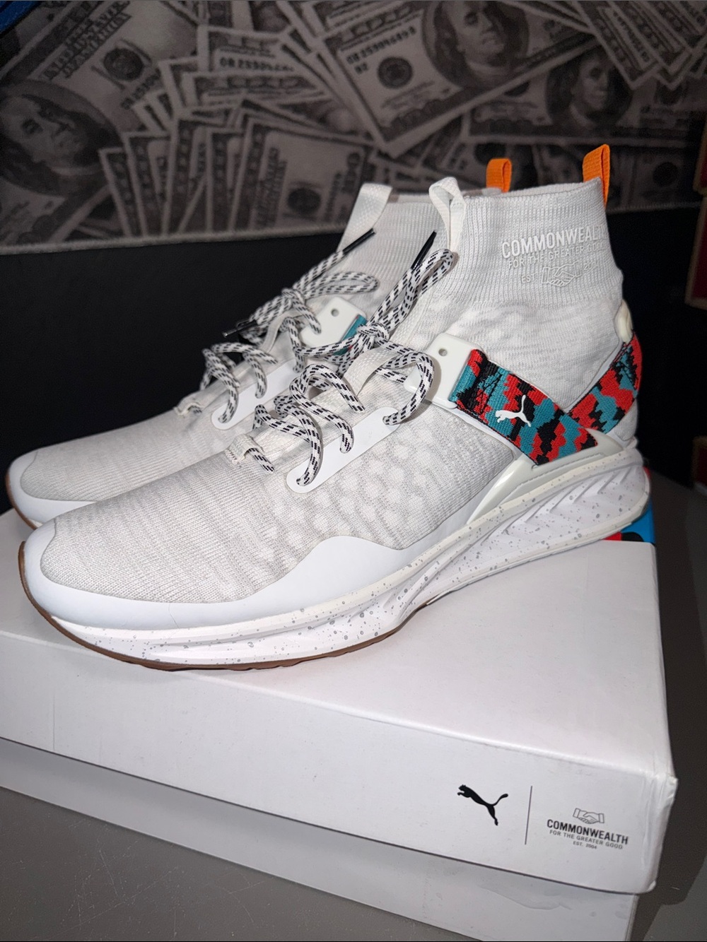 Commonwealth x Puma Ignite evoKNIT in men’s size 12 New with Box RARE